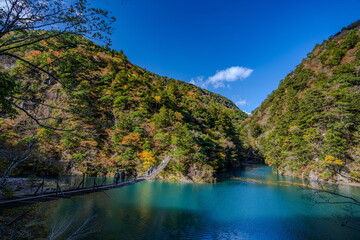 秋の寸又峡と夢の吊り橋