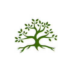 Obraz premium Stylized green tree with visible roots and leaves