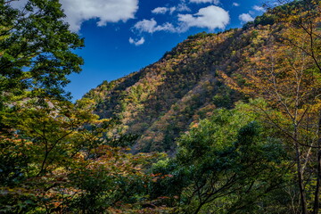 寸又峡の紅葉