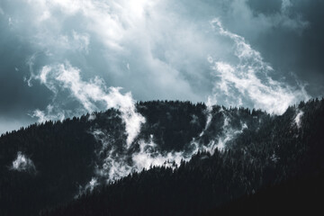 Plumes of cloud twist and spill over a dark evergreen ridge, captured in a dramatic mood. Vapor curls through dense spruce forest, revealing wild mountain energy after a passing storm.