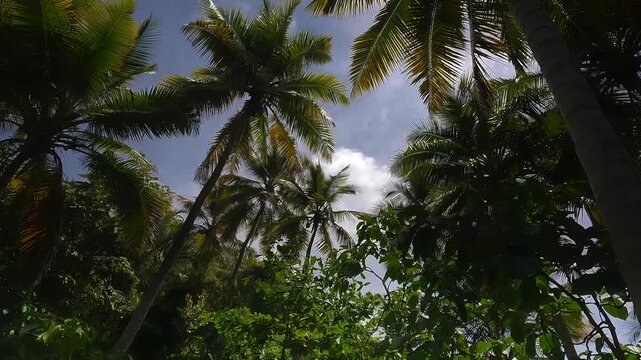 Playa fronton  Saman&aacute;, Rep&uacute;blica DominicanaLa cascada tiene una altura de aproximadamente 40 metros, aunque algunas fuentes la describen con una ca&iacute;da de hasta 50 metros o 164 pies (unos 50 metros). 