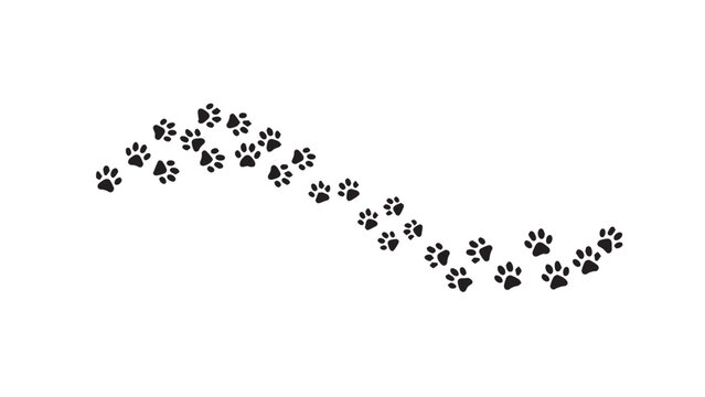 Paw prints of an animal walking in a winding path isolated on white background, vector illustration