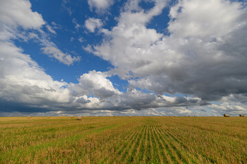 A Vast Meadow Set Beneath a Dramatic and Expansive Sky Surrounded by Lush Green Grass