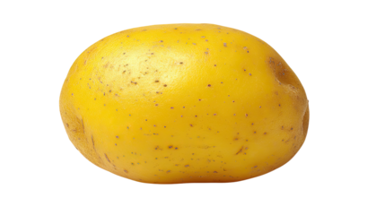 Single yellow potato isolated on white background fresh whole tuber natural vegetable healthy food concept studio shot
