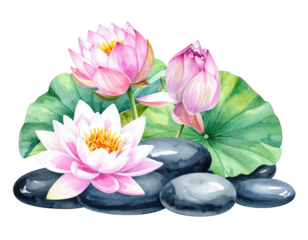 Watercolor depiction of pink water lilies, green leaves, and smooth black stones