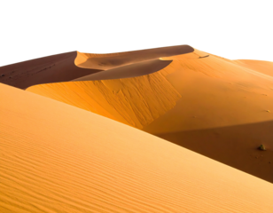 Golden desert landscape with rolling sand dunes under a bright sky. Dramatic lighting