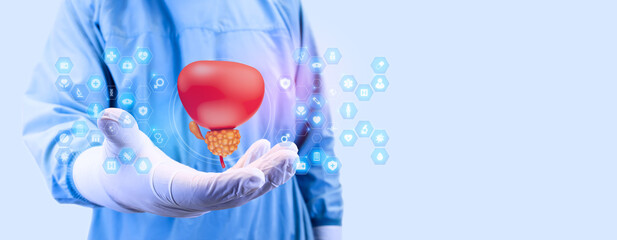 Prostate gland with cancerous tissue, observed by a doctor. Concept of urology, cancer prevention and early detection of prostate cancer.