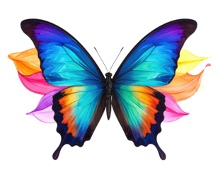 A vibrant watercolor painting of a butterfly with colorful wings on a transparent background