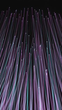Mesmerizing Visual Effect Glowing Fiber Optic Cables with Purple and Blue Lights Create Stunning Patterns Against Dark Background