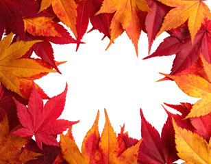 Fototapeta premium Frame of vibrantly colored autumn leaves, creating a circular border with a black center