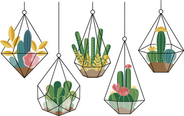 Hanging terrarium vector set with cactus, succulent plant illustration in geometric glass shapes, indoor garden decor clipart for botanical design, home