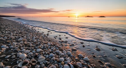 Ocean waves wash over a shoreline densely covered with numerous seashells during sunrise