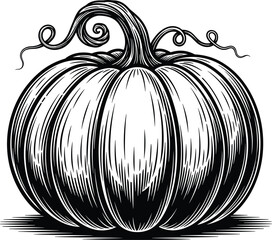 Highly Detailed Black and White Pumpkin Engraving with Curly Vines and Grooves, Perfect for Halloween, Autumn Harvest, and Traditional Woodcut-Style Fall Designs