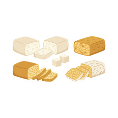 Tofu Tahu and Tempe Flat Design