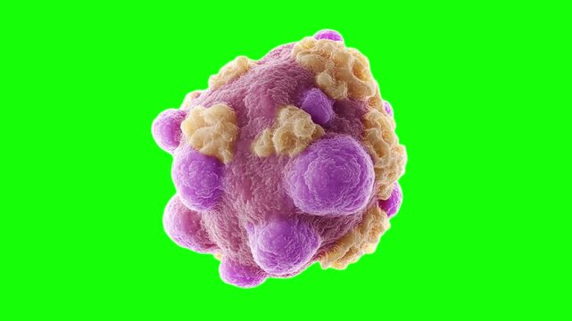 circulation of viruses or bacteria