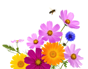 Colorful floral arrangement with a busy bee. Various blossoms grace a black background