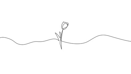 One line drawing Minimalist of La Tulipe Flower 