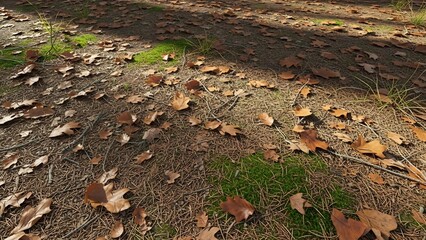 Fototapeta premium Autumnal Ground Cover - A Carpet of Fallen Leaves and Green Patches.