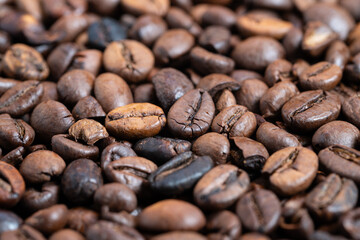 Freshly roasted beans shimmering subtly, Warm brown hues highlight oily roasted beans, Vivid image of freshly roasted coffee beans with oily shine in gentle focus