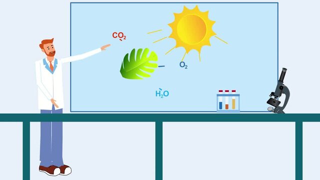 Animated explainer video: scientist in a white lab coat explains how photosynthesis works. Leaf absorbs sunlight, carbon dioxide, and releases oxygen. Simple educational animation with sun, carbon cyc