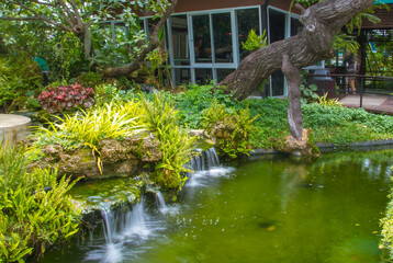 japanese garden with pond