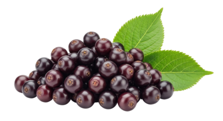 Pile of elderberries with leaves transparent background cutout png