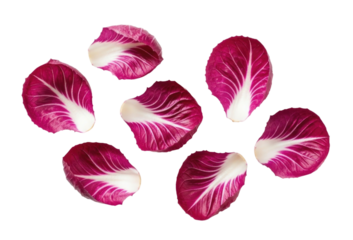 Radicchio leaves transparent background cutout png