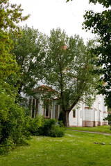 Beautiful city streets on a sunny summer day. Historic buildings among green trees in European city. 1 June 2025, Vilnius, Lithuania