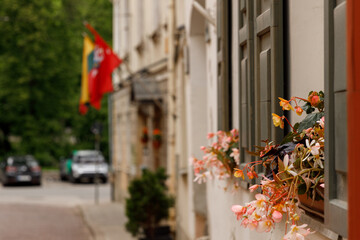 Beautiful city streets on a sunny summer day. Historic buildings among green trees in a European city. June 1, 2025, Vilnius, Lithuania.