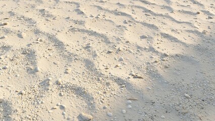 Sandy Beach Texture with Footprints and Shadows.