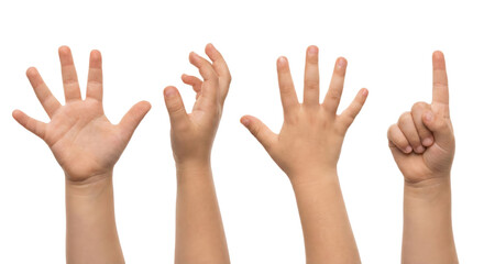 Illustrative child's hands demonstrating counting concepts on a transparent backdrop, suitable for