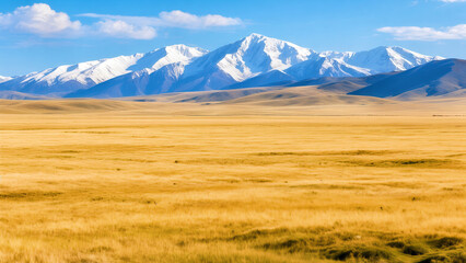 Fototapeta premium landscape, mountain, sky, nature, grass, field, mountains, meadow