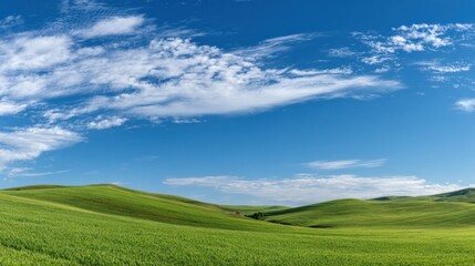 Obraz premium Countryside Meadow Features Moving Clouds and Fresh Green Colors on a Sunny Day With Wide Panoramic View of the Landscape