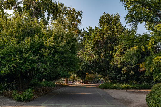  Los Angeles County Arboretum and Botanic Garden. Arcadia, California October
