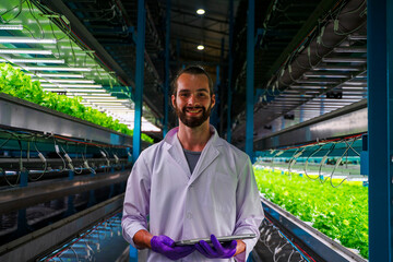 Scientist is working at vegetable production greenhouse.