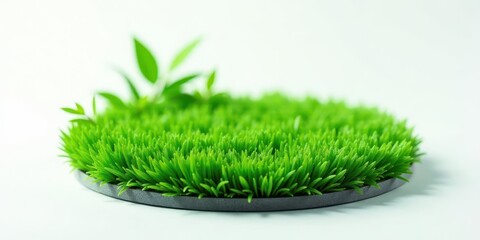 A circular patch of lush green grass with a few delicate leaves emerging from its surface, presented against a clean backdrop