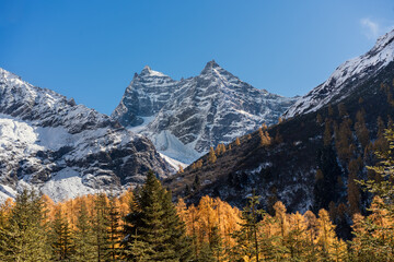 mount rainier national park