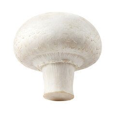 Fresh White Mushroom Isolated on a White Background for Cooking