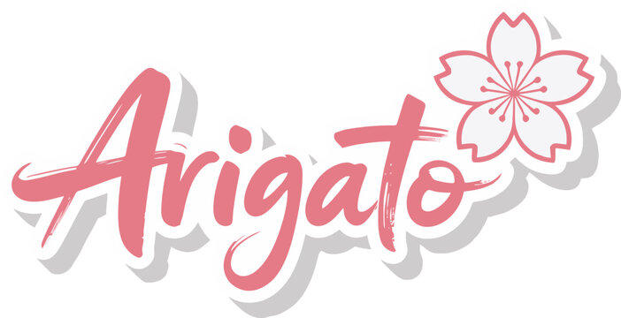 Arigato Japanese Thank You Typography Vector Design with Cherry Blossoms and Elegant Handwriting Style