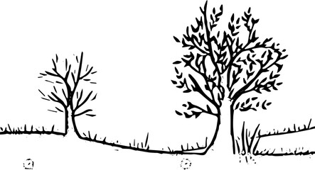 tree silhouette vector