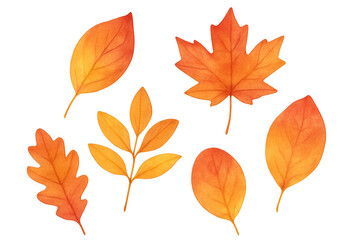 Fototapeta premium Fall watercolor leaves set depicting various autumn foliage in vibrant orange and yellow hues, transparent background