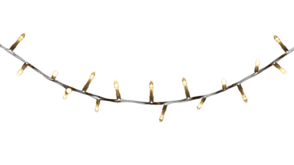String of warm white christmas lights against a dark background for holiday decor