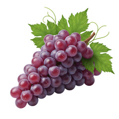 Fototapeta premium Plump Red Grapes Cluster