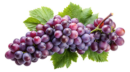 Fototapeta premium A vibrant bunch of purple grapes with green leaves isolated on a black background close up shot on transparent background