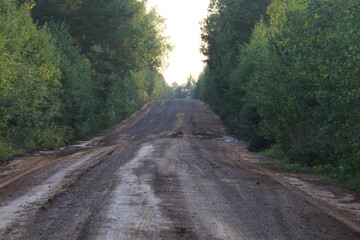 An old dirt road in dense deciduous forests on a sunny late summer day