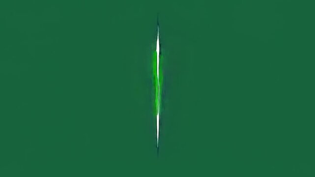 Security shields with checkmarks signify protection and approval, symbol design