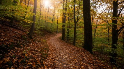 A winding path through an autumn forest with colorful foliage and dappled sunlight