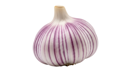 Solo garlic bulb PNG isolated on transparent background, single clove garlic with purple stripes for culinary and healthy eating concepts