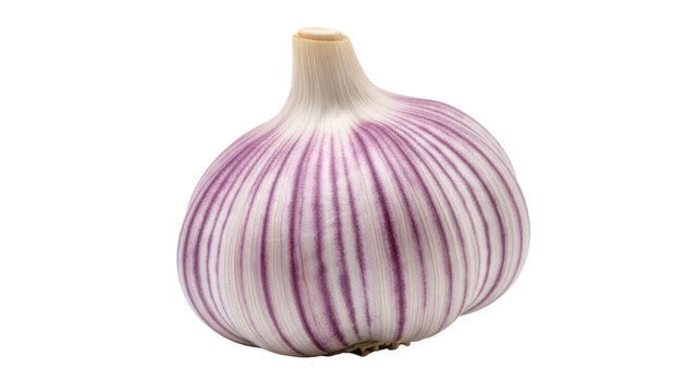 Solo garlic bulb PNG isolated on transparent background, single clove garlic with purple stripes for culinary and healthy eating concepts