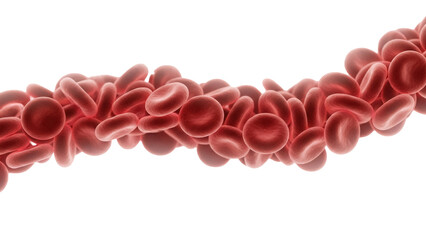 Red blood cells isolated on transparent background PNG, microscopic view of erythrocytes for medical and scientific use